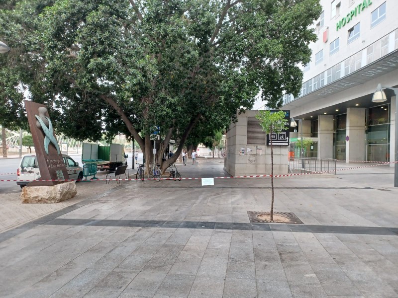 <span style='color:#780948'>ARCHIVED</span> - Murcia City Council closes parks over fears of falling tree branches