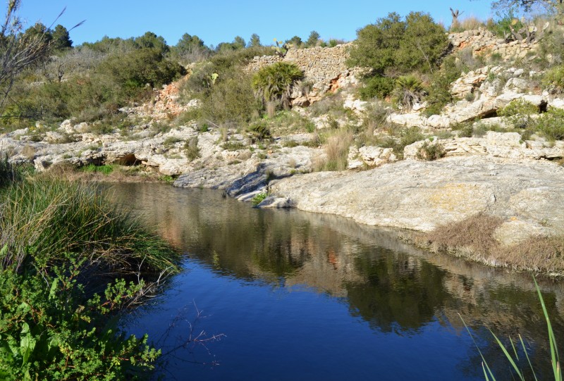 <span style='color:#780948'>ARCHIVED</span> - Discarded toilet wipes make unwelcome return to riverbed in the Marina Alta