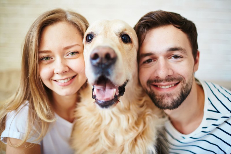 <span style='color:#780948'>ARCHIVED</span> - Couple splits and gets joint custody of dog in Spain