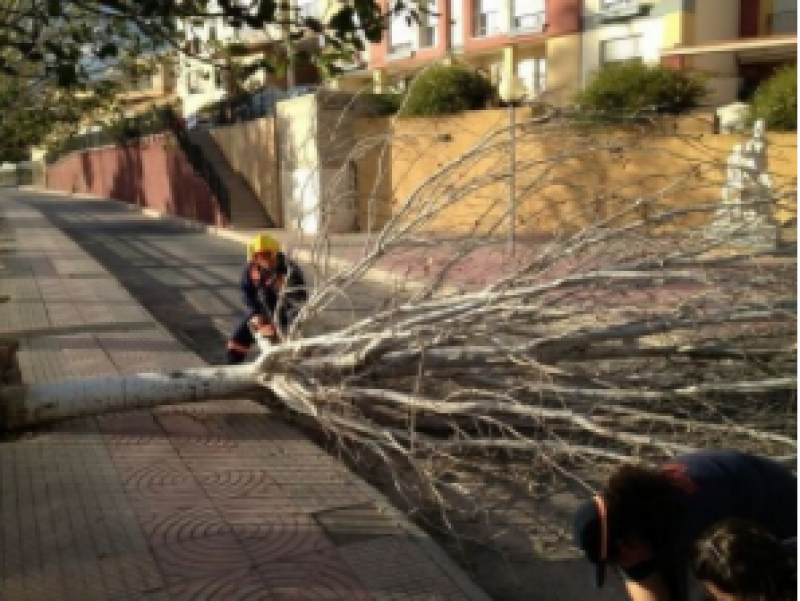 <span style='color:#780948'>ARCHIVED</span> - Strong winds cause widespread chaos in Andalusia