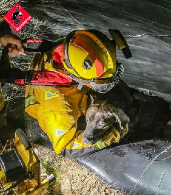 <span style='color:#780948'>ARCHIVED</span> - Hero firefighters save trapped Orihuela dog from drowning in pitch black conditions