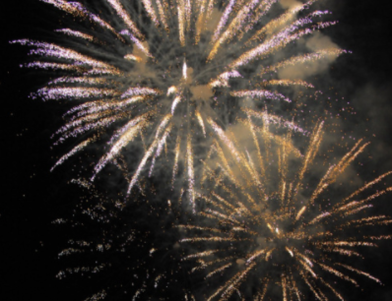 <span style='color:#780948'>ARCHIVED</span> - Animal activists call for firework ban in Spain